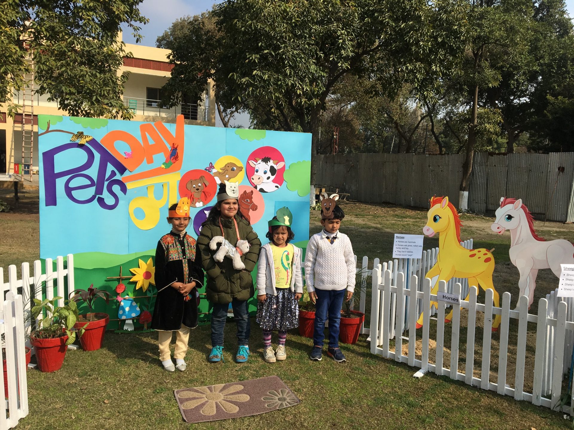 PAF Montessori School Lahore Schoolvisor