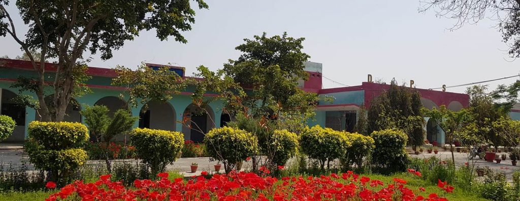 District Public School Layyah