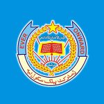 District Public School Layyah