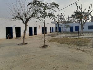 Shaheen Ideal Public School Kot Sultan