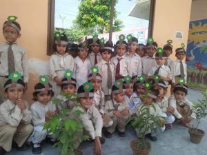 The Knowledge School Khanewal