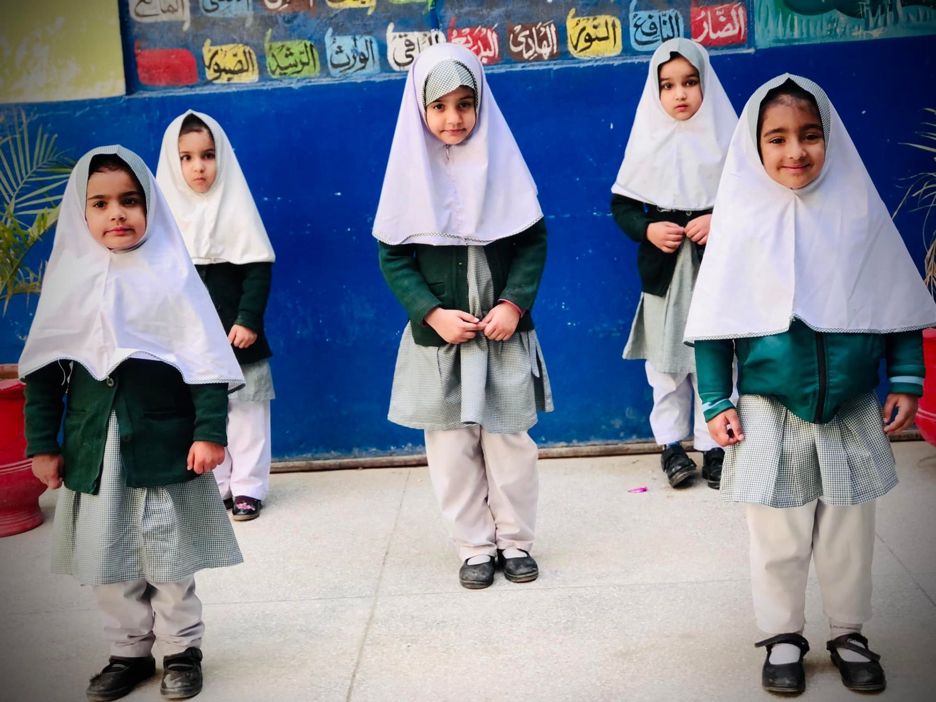 The Scarf School Schoolvisor