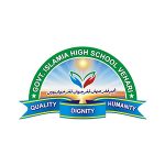 Government Islamia High School Vehari