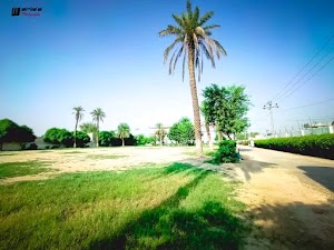 Pak Pearl School & College place picture